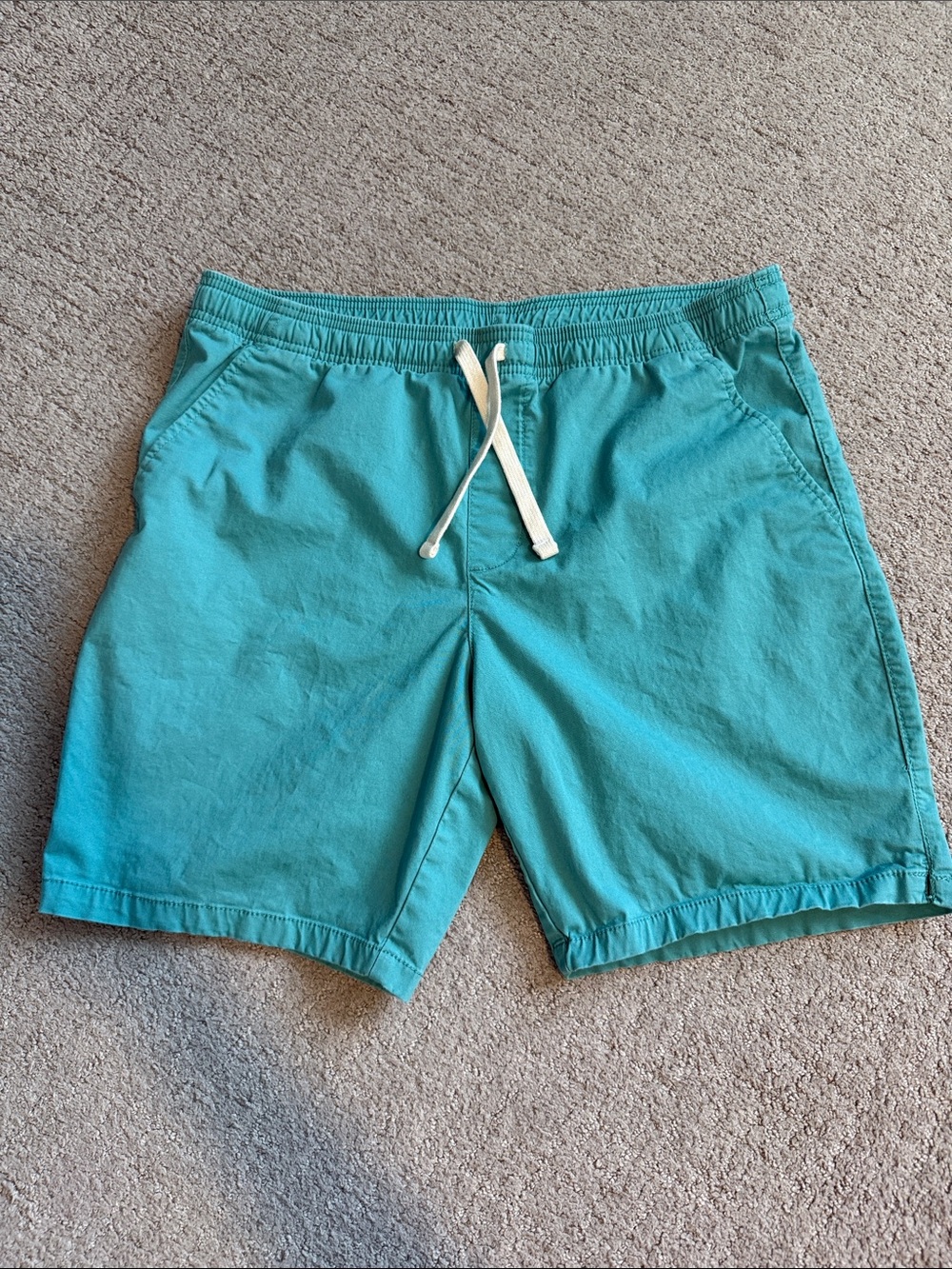 Goodfellow & Co Turquoise Stretch Casual Shorts